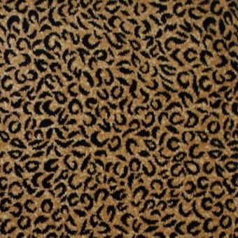 Tanzania - Wild Jaguar
